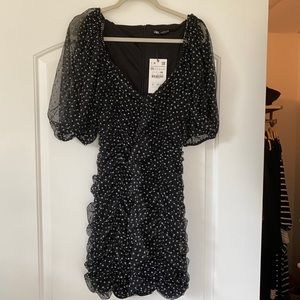 Zara Dress | Zara Tulle Pola Dot Dress